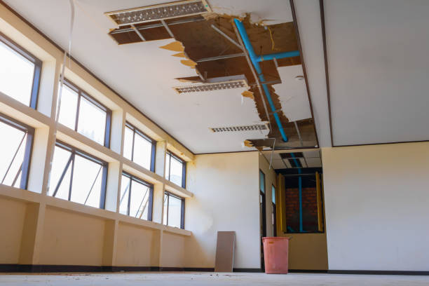 Best Flood damage cleanup  in Crow Agency, MT