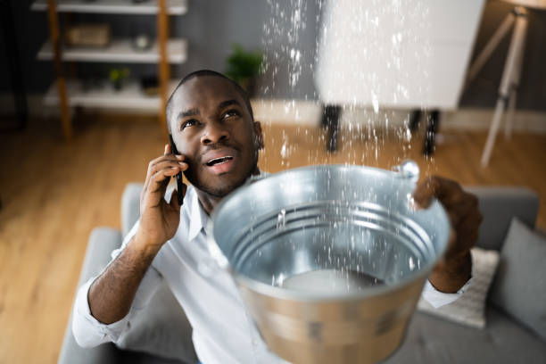 Best Mold removal after water damage  in Crow Agency, MT