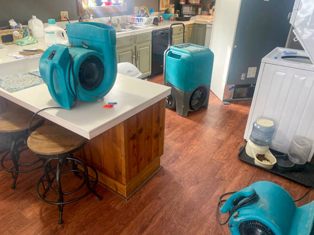 Local water damage restoration in MT