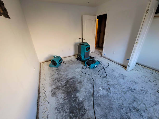 Best Fire Damage Restoration  in Crow Agency, MT