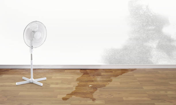Best Emergency water damage restoration  in Crow Agency, MT