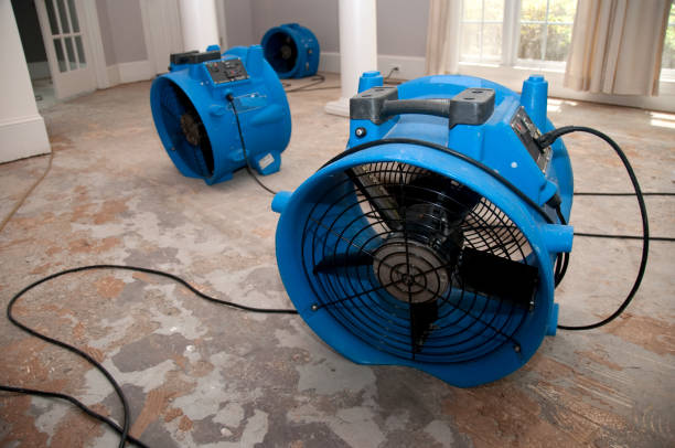  Crow Agency, MT Water damage restoration Pros