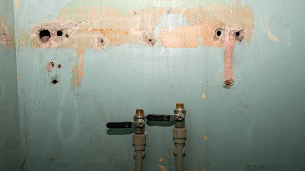 Best Flooded house restoration  in Crow Agency, MT