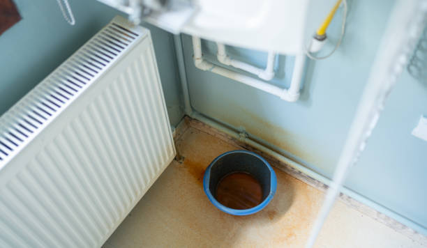 Best Flood restoration services  in Crow Agency, MT
