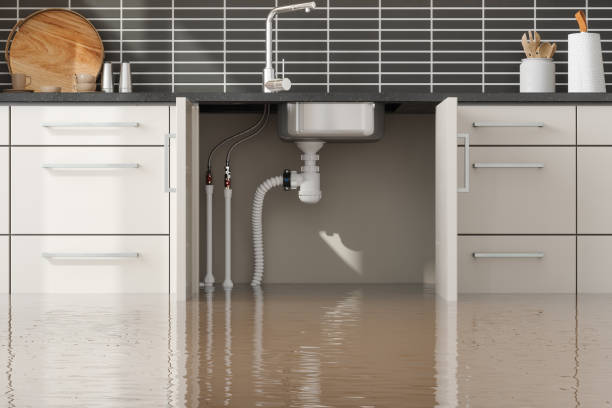 Best Ceiling water damage repair  in Crow Agency, MT