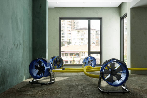 Best Water damage restoration mold remediation  in Crow Agency, MT